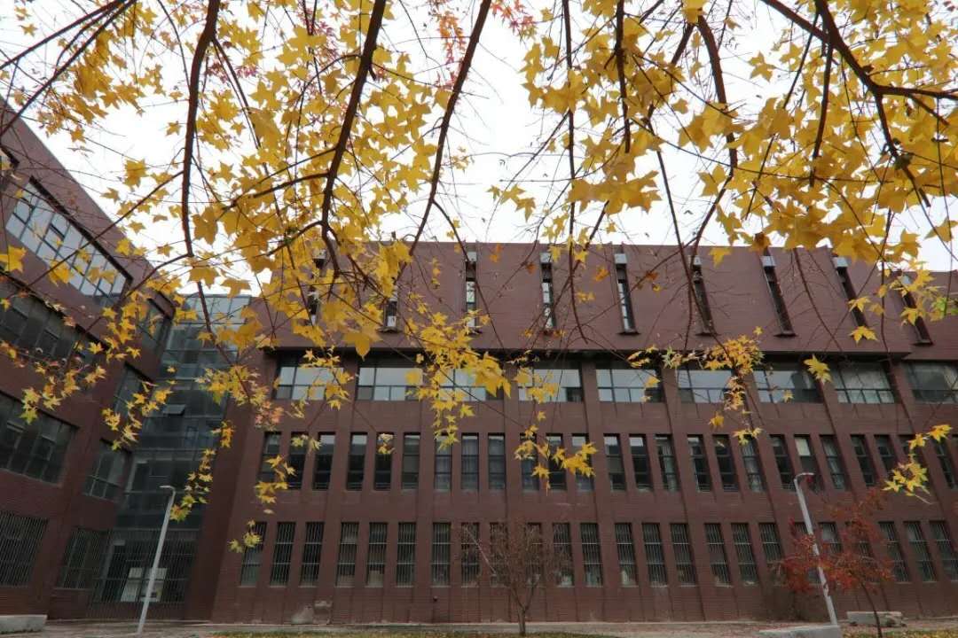皇家马德里携手欧洲杯竞猜入口公布官方合作